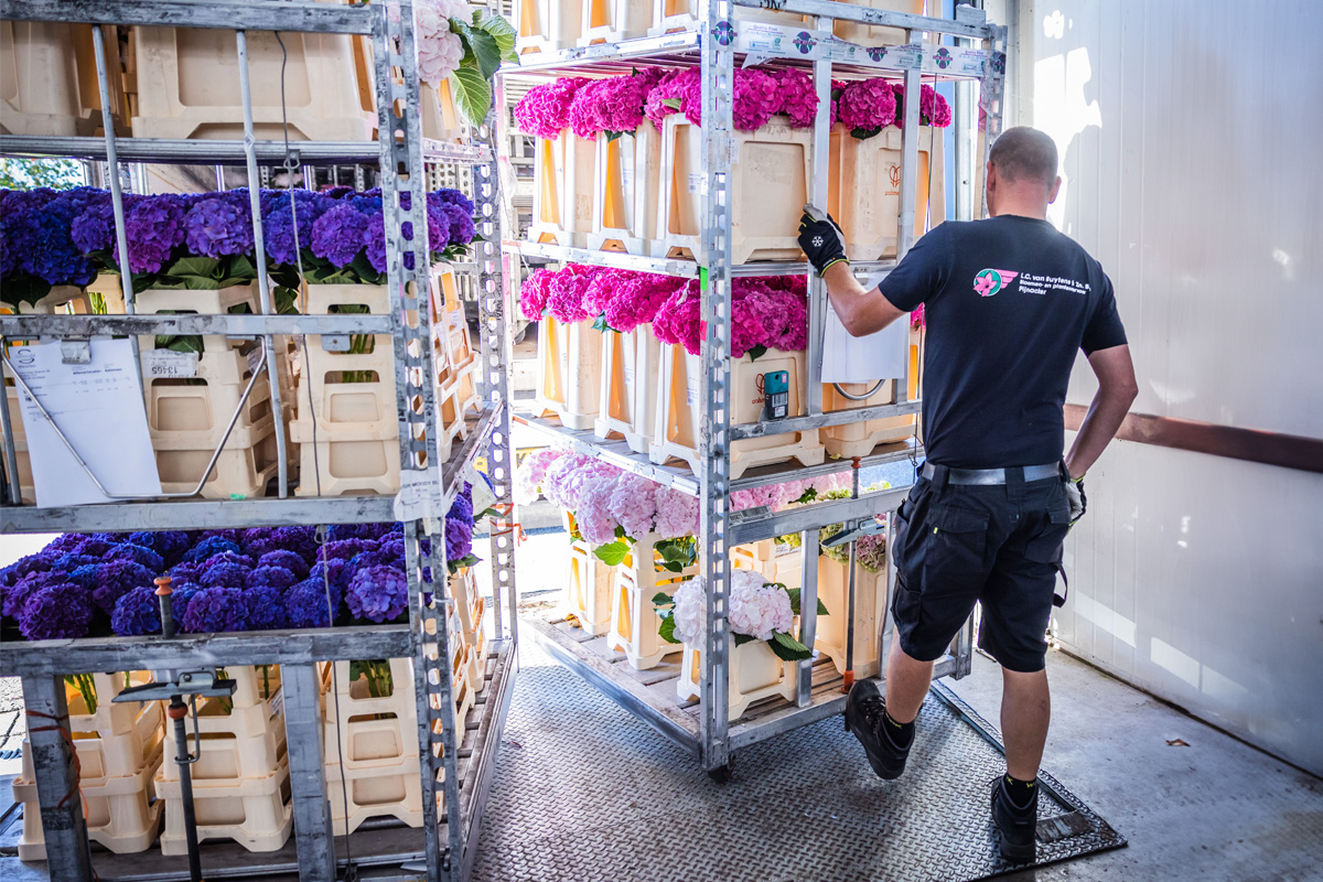 Werkzaamheden – L.C. Van Buytene & Zn. B.V.